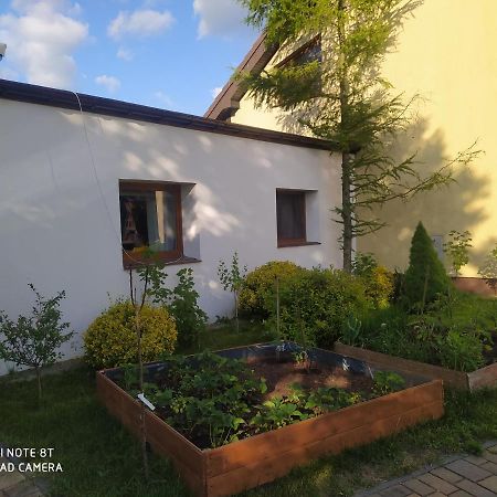 Apartament Gniezno - Mnichowo מראה חיצוני תמונה