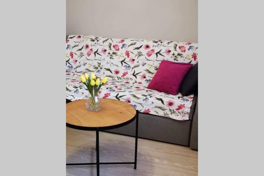 Apartament Gniezno - Mnichowo מראה חיצוני תמונה